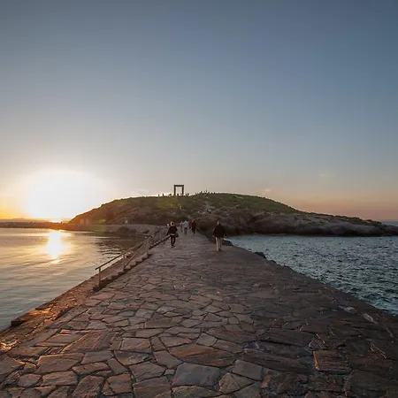 Vila Iliana By The Beach Naxos City